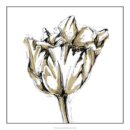 Tulip Sketch I by Ethan Harper art print