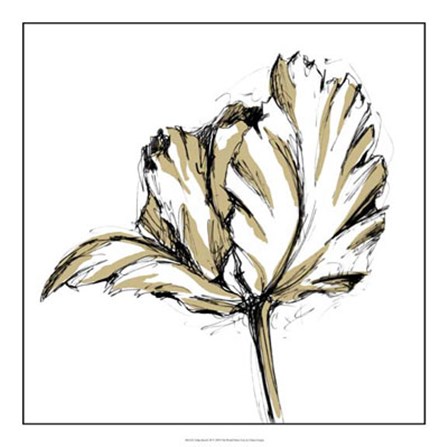 Tulip Sketch III by Ethan Harper art print