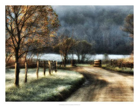 Morning Frost by Danny Head art print