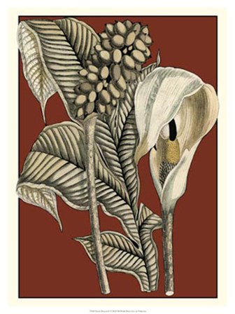 Exotic Botanical I art print