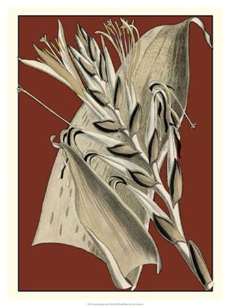 Exotic Botanical II art print