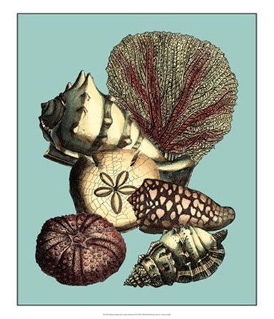 Printed Shell &amp; Coral Collection I by Vision Studio art print