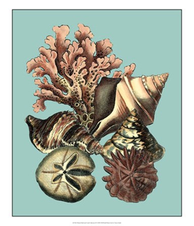 Printed Shell &amp; Coral Collection II by Vision Studio art print