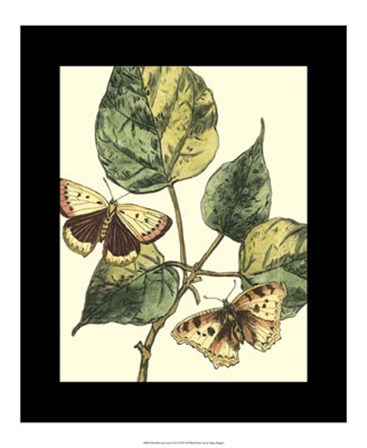 Butterflies &amp; Leaves II by Megan Meagher art print