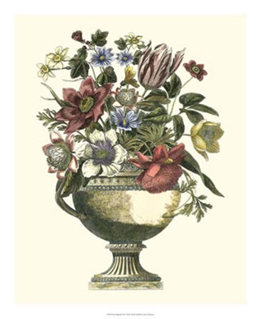 Floral Splendor II by Francesco Piranesi art print