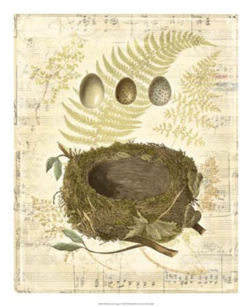 Melodic Nest &amp; Eggs I by Vision Studio art print