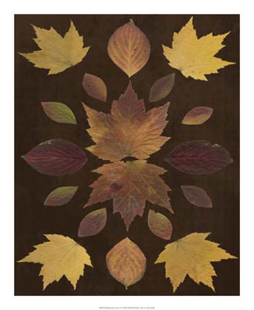 Kaleidoscope Leaves VI by Vision Studio art print