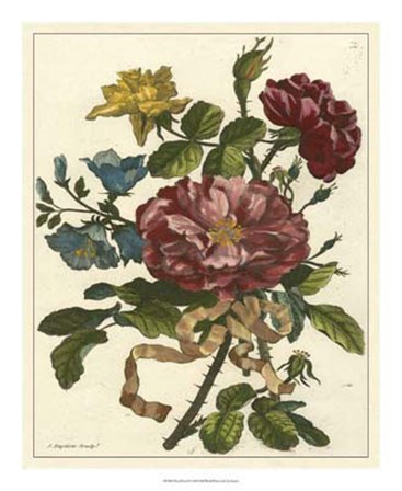 Floral Posy II by Giovanni Ferrari art print
