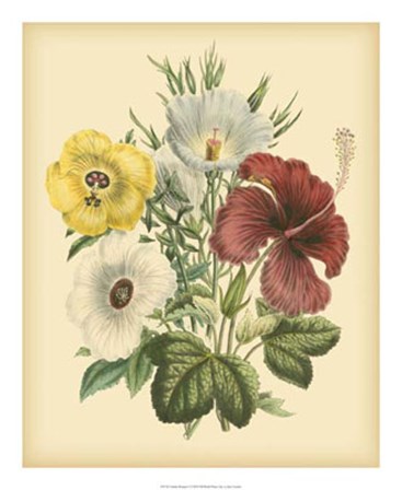 Garden Bouquet I by Jane W. Loudon art print