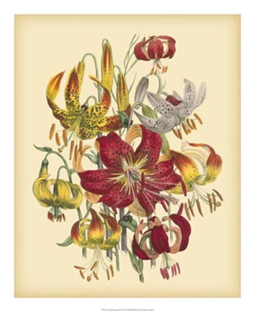 Garden Bouquet III by Jane W. Loudon art print