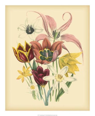 Garden Bouquet IV by Jane W. Loudon art print