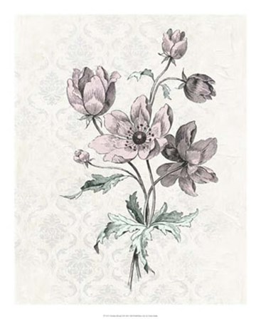 Victorian Blooms II by Vision Studio art print