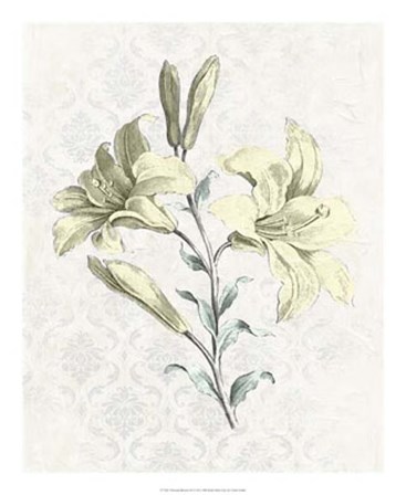 Victorian Blooms III by Vision Studio art print