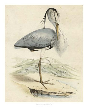 Antique Heron IV art print