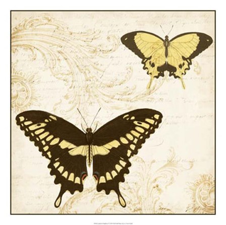 Jardin des Papillons I by Vision Studio art print