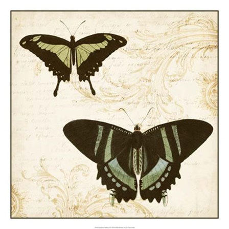 Jardin des Papillons II by Vision Studio art print
