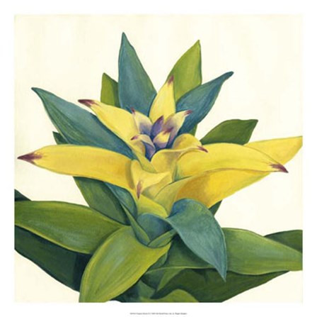 Tropical Bloom II by Megan Meagher art print