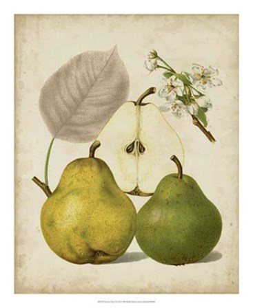 Harvest Pears I by Heinrich Pfeiffer art print