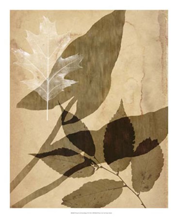 Pressed Leaf Assemblage II by Vision Studio art print