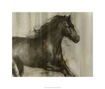 Dynamic Stallion I by Ethan Harper art print