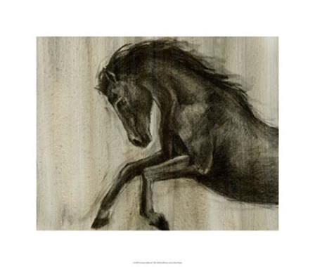 Dynamic Stallion II by Ethan Harper art print