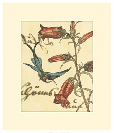 Hummingbird Reverie I by Vision Studio art print