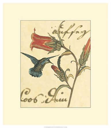 Hummingbird Reverie III by Vision Studio art print