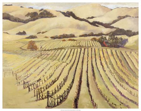 Summer Vineyard by Silvia Rutledge art print