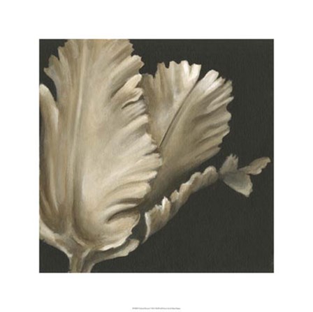 Classical Blooms I by Ethan Harper art print