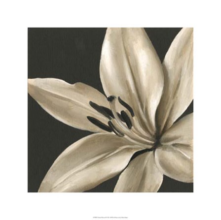 Classical Blooms III by Ethan Harper art print
