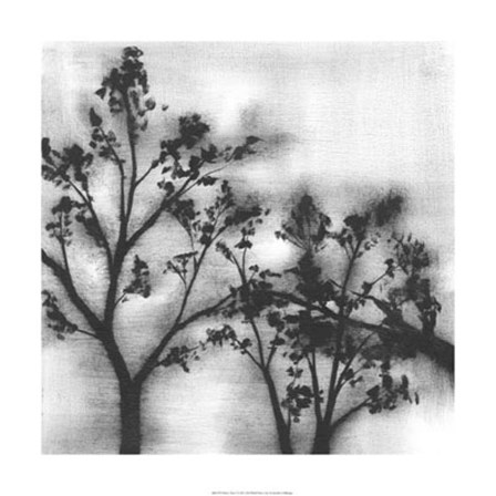 Silvery Trees I by Jennifer Goldberger art print