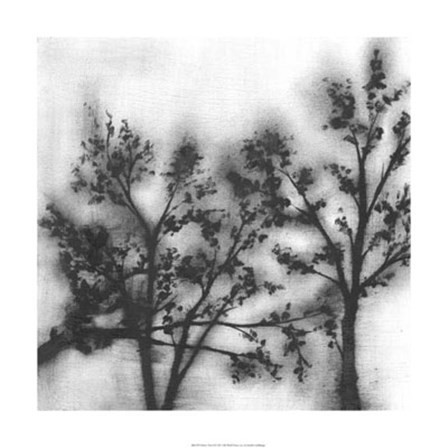 Silvery Trees II by Jennifer Goldberger art print