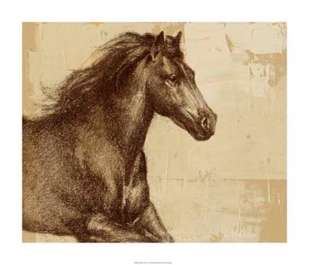 Majestic Horse I by Ethan Harper art print