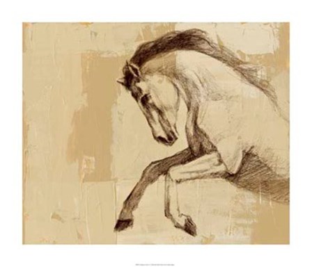 Majestic Horse II by Ethan Harper art print