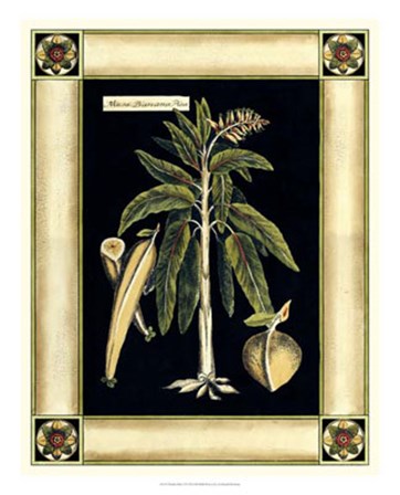 Paradise Palm VI by Deborah Bookman art print
