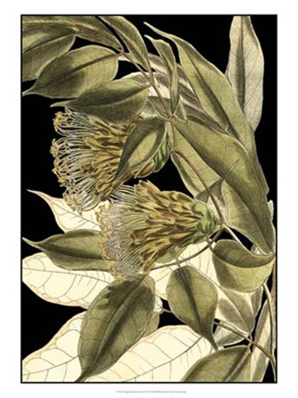 Tranquil Tropical Leaves VI by Vision Studio art print