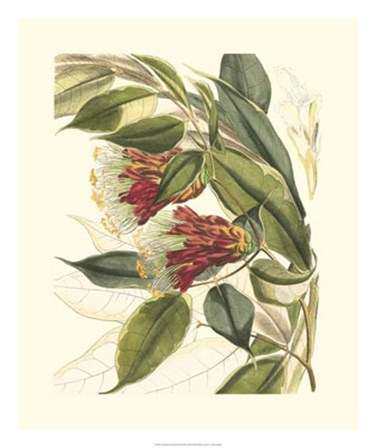 Fantastical Botanical II by Vision Studio art print
