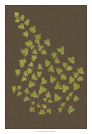 Ferns on Linen III by Vision Studio art print