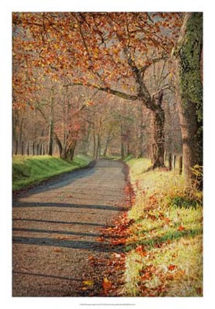 Morning on Sparks Lane III by Danny Head art print