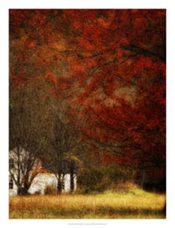 Beyond October&#39;s Maple by Danny Head art print