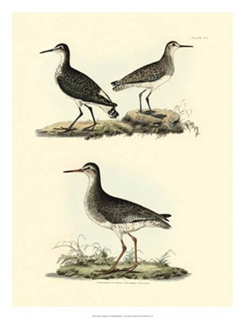 Sandpipers II by John Selby art print