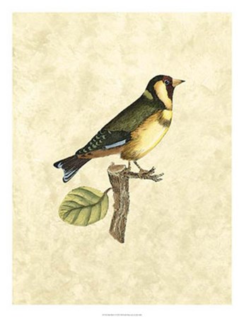 Birds I by John Selby art print