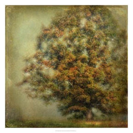 Autumn&#39;s Dream by Danny Head art print