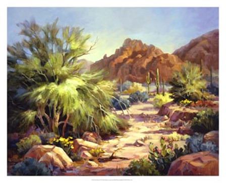 Desert Beauty by Maxine Johnston art print