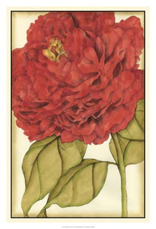 Ruby Blooms II by Jennifer Goldberger art print