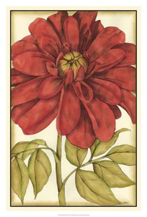 Ruby Blooms III by Jennifer Goldberger art print