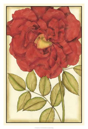 Ruby Blooms IV by Jennifer Goldberger art print