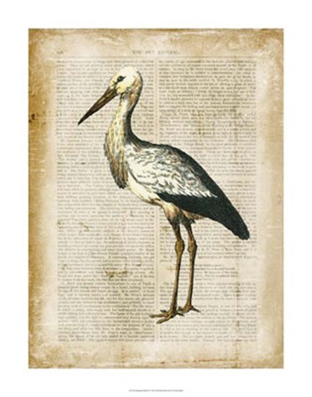 Antiquarian Birds II by Vision Studio art print