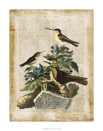 Antiquarian Birds IV by Vision Studio art print
