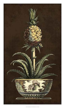 Potted Pineapple II by Vision Studio art print
